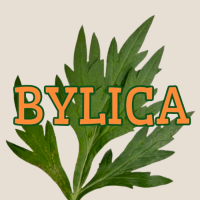 bylica