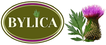 Bylica Net