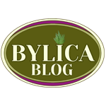 Blog Bylicy