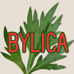 BYLICA net