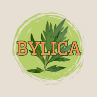 BLOG BYLICY
