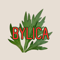 BYLICA net