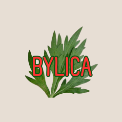 BYLICA net